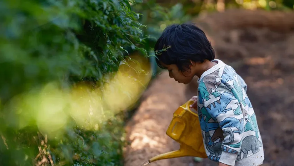 Glenaeon students outdoor learning